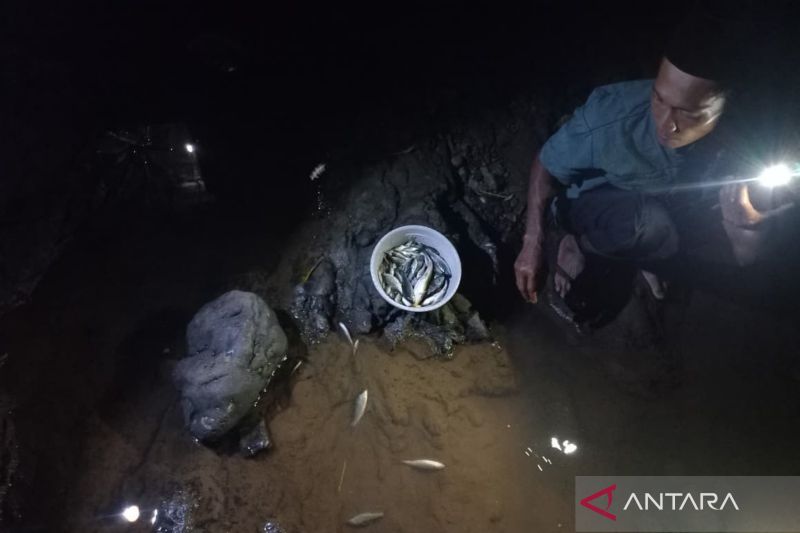 Ikan-ikan mati di Sungai Cikembang Manonjaya, begini respon DLH Tasikmalaya