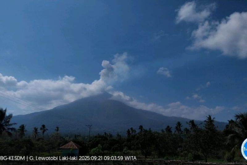 Gunung Lewotobi Laki-laki hari ini erupsi tiga kali