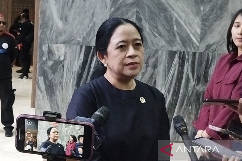 Puan pastikan tindak lanjuti putusan MKD soal Sahroni-Uya Kuya