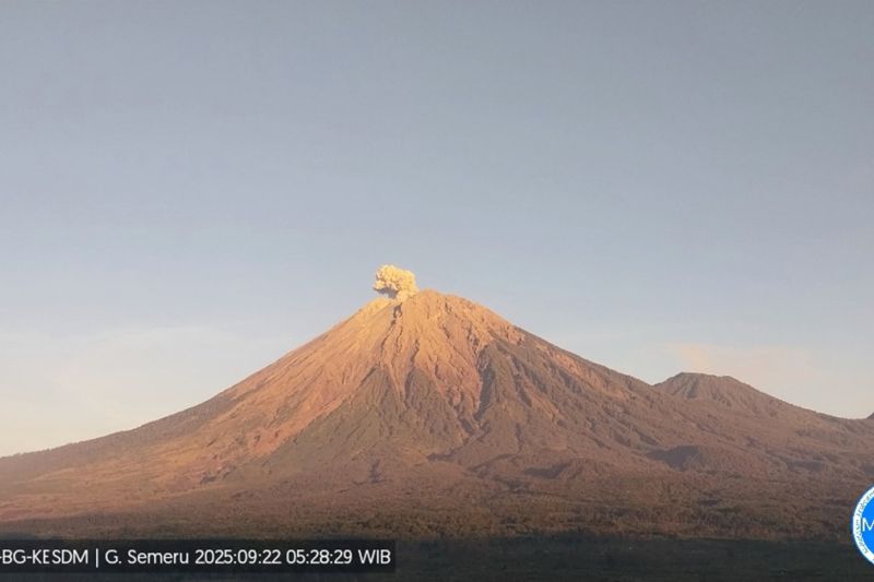 Semeru hari ini erupsi dengan tinggi letusan 700 meter