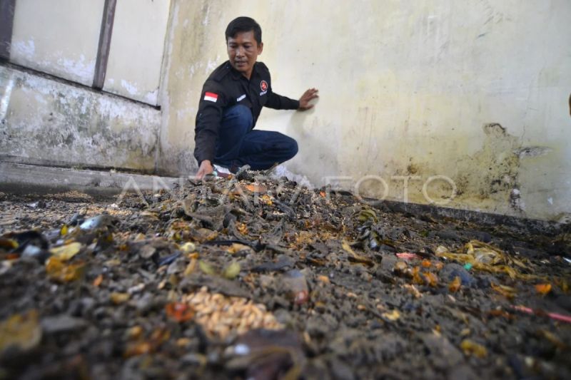 Pengolahan sampah organik di Padang