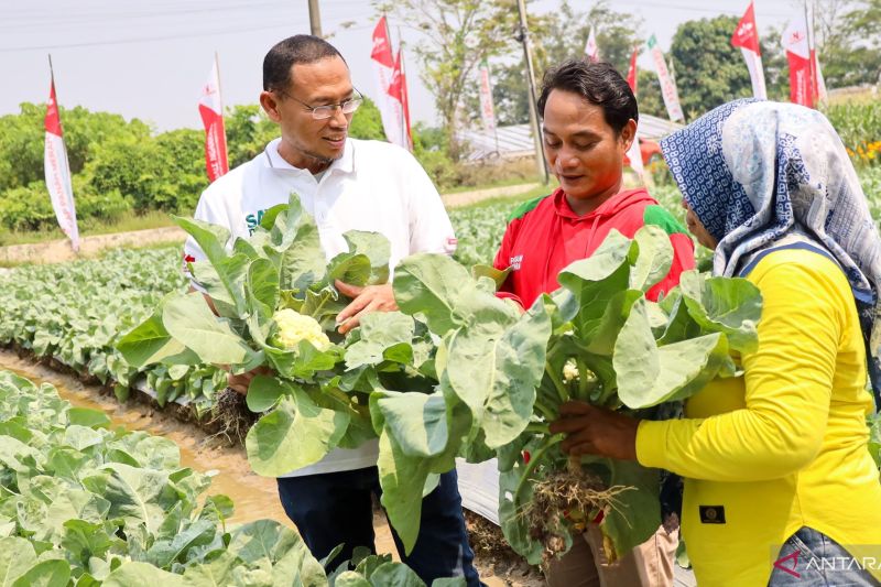 Ratusan petani Karawang belajar teknologi hortikultura