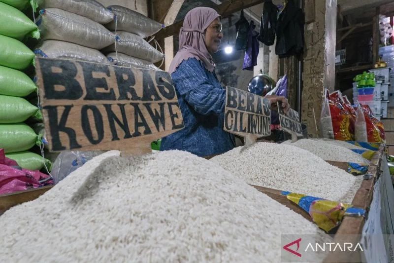 Harga Beras Medium Turun ke Rp13.731 per Kg, Cabai Rawit Rp48.171 per Kg