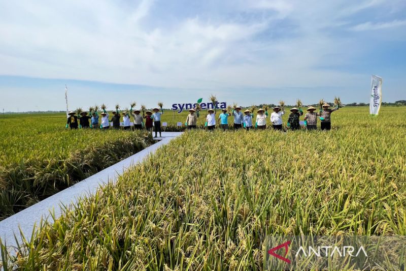 Ekonomi kemarin, BBM subsidi kapal penumpang sampai kebijakan harga gabah