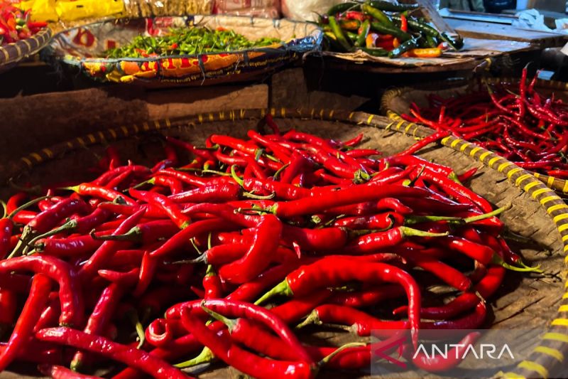 Harga pangan hari ini: Cabai rawit Rp45.558/kg, bawang merah Rp38.036/kg