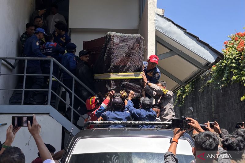 Macan Tutul masuk hotel sudah dievakuasi, tapi BBKSDA masih bingung dari mana asalnya