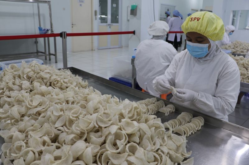 Barantin investigasi pembatasan ekspor sarang burung walet ke China