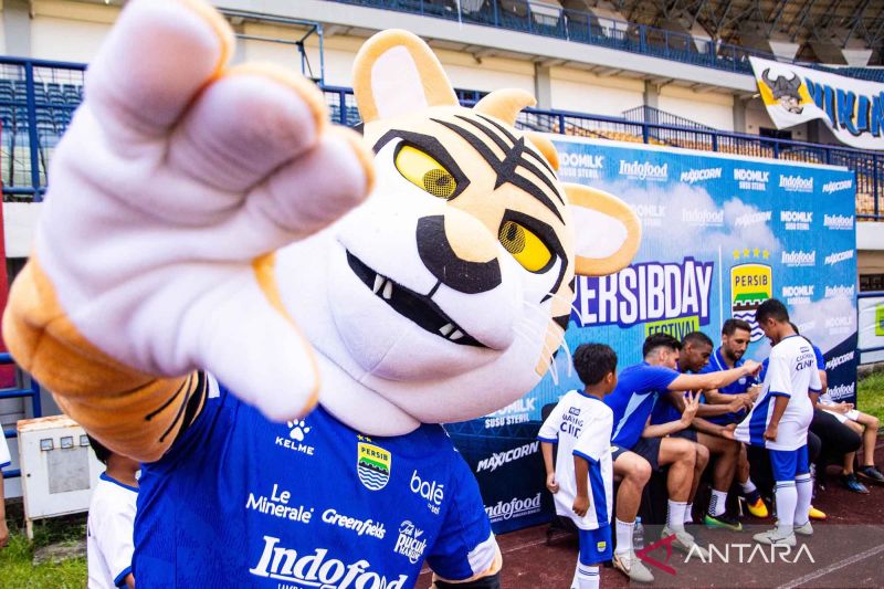 Adam Alis menyebut mentalitas Persib Bandung bangkit jelang lawan PSBS Biak
