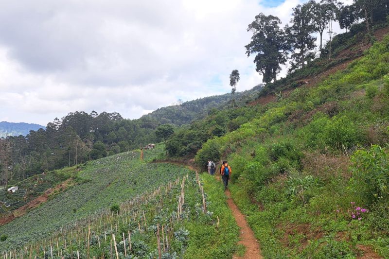 Drama penyelamatan di Lembah Tengkorak Lembang! ayah dan anak hilang akhirnya ditemukan selamat