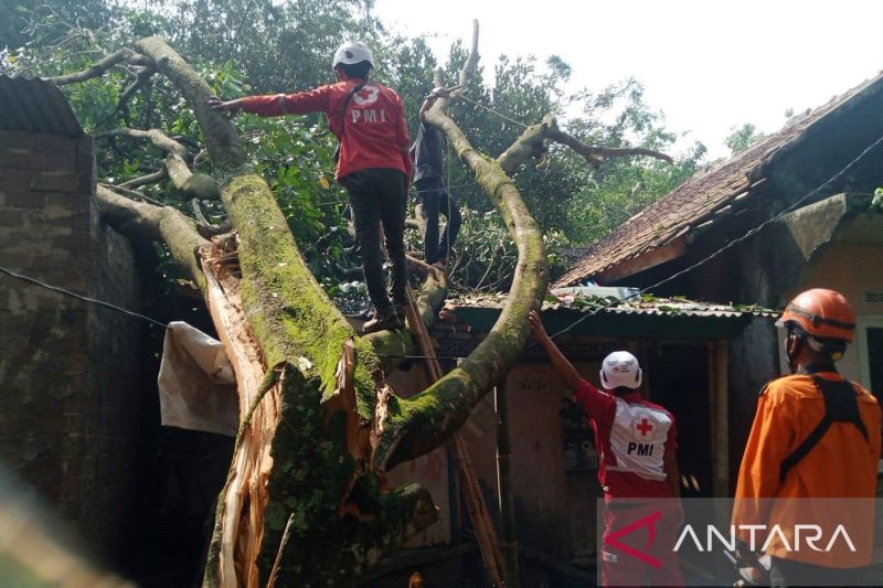 PMI Cianjur terjunkan relawan dengan peralatan lengkap