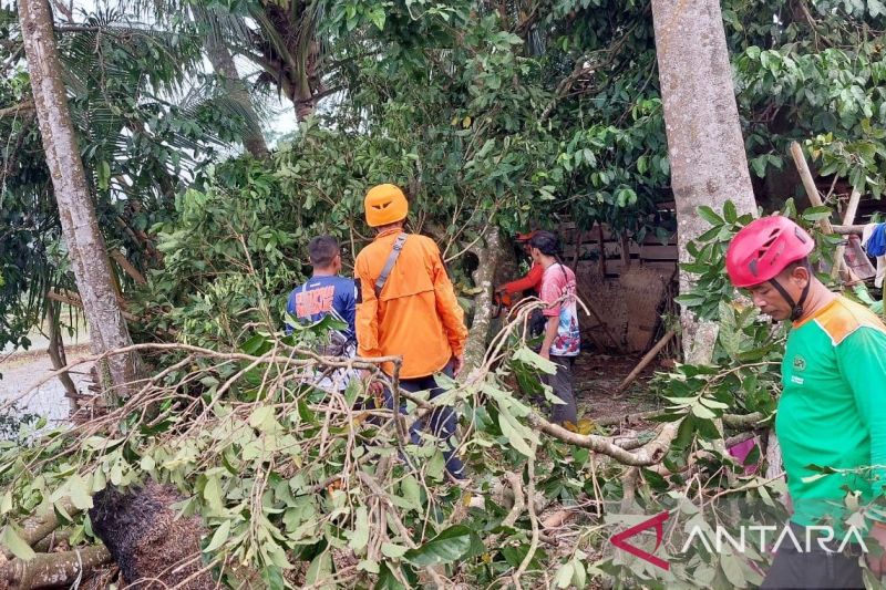 BPBD Cianjur sebut siaga bencana hidrometeorologi selama tujuh bulan