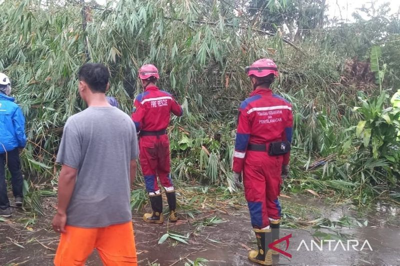 Hujan deras bikin Cianjur lumpuh! jalur Bandung-Cianjur sempat tertutup pohon tumbang