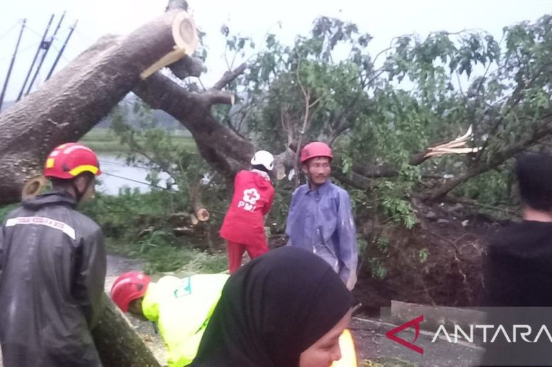 PMI Cianjur bersama relawan gabungan membuka kembali jalur Mande-Cianjur