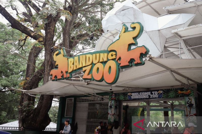 Simak kronologi Bandung Zoo secara lengkap!