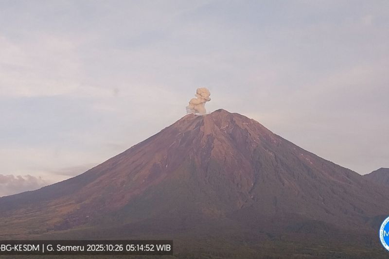 Gunung Semeru hari ini kembali erupsi dengan tinggi letusan hingga 700 meter