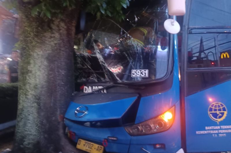 Bus Damri tabrak pohon di Jalan Setiabudi Bandung gara-gara hindari motor