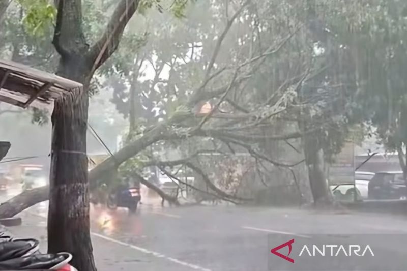 Polres Cianjur menyiagakan anggota di jalur rawan pohon tumbang