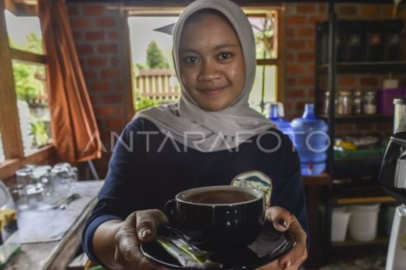 Wangi emas hijau dari kaki Gunung Kerinci