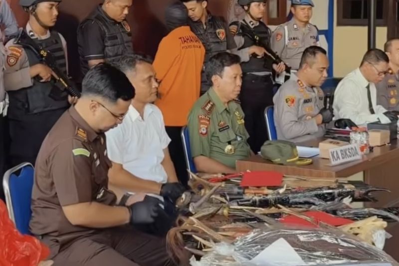 BKSDA Kalsel ingatkan sanksi hukum penjual suvenir satwa dilindungi