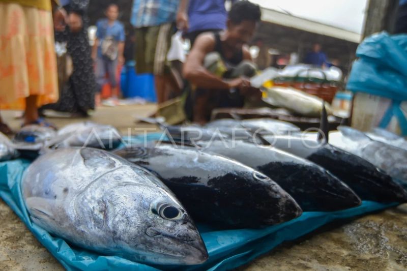 Angka konsumsi ikan meningkat di Padang