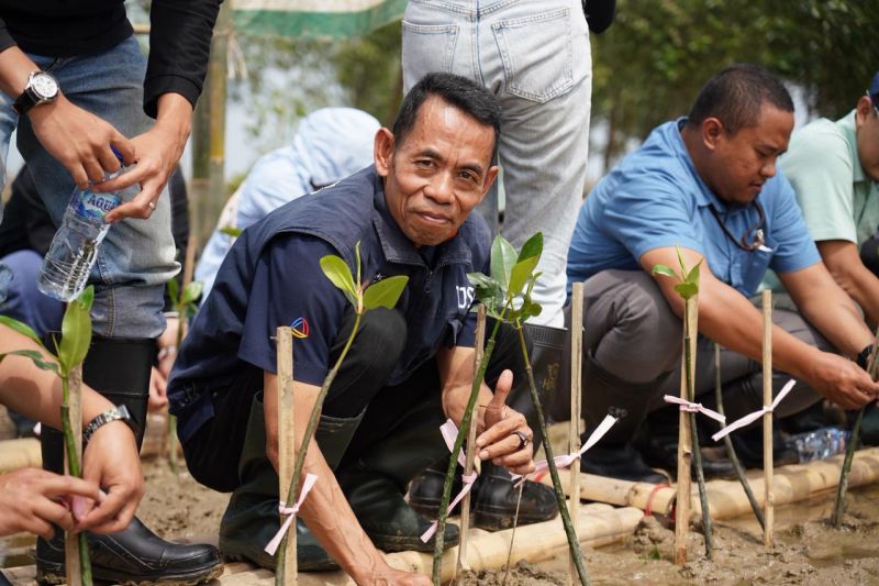 Bio Farma menggelar TJSL dengan menanam 5.000 mangrove di Karawang