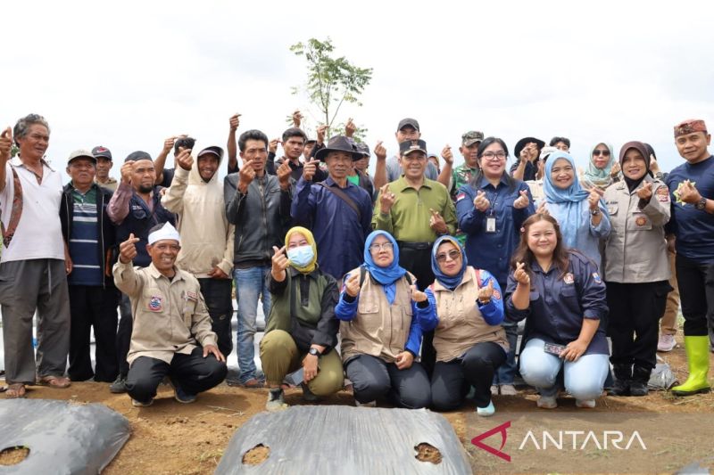 Pemkot Cimahi optimalkan lahan terbatas demi pertanian dan pangan