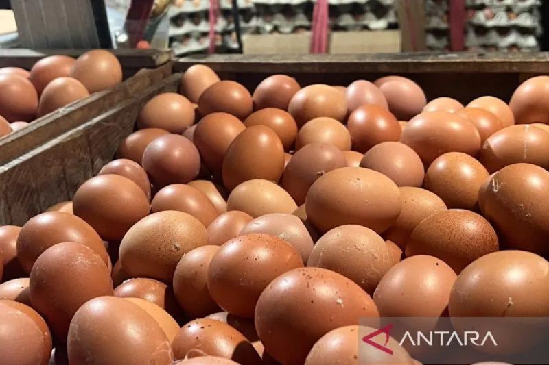 PIHPS rilis harga pangan hari ini: cabai rawit Rp42.700 per kg, telur ayam Rp31.450 per kg