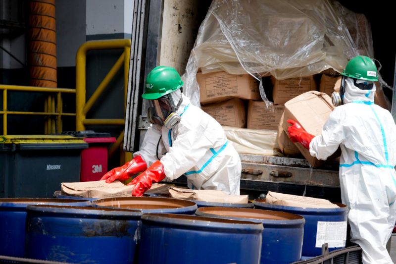 Kenapa ada pemusnahan udang terkontaminasi Cs-137 ? Ini penjelasannya