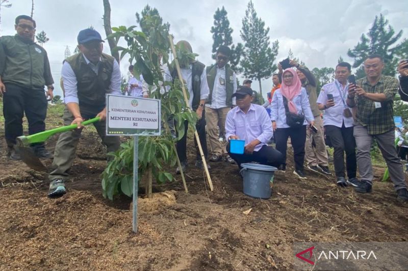 Menhut sebar pohon untuk ditanam di daerah hulu sungai