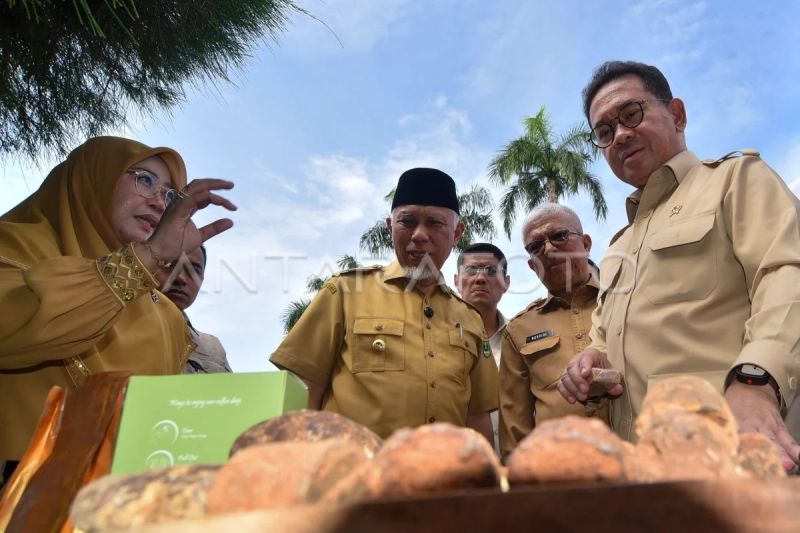 Pelepasan ekspor gambir ke India