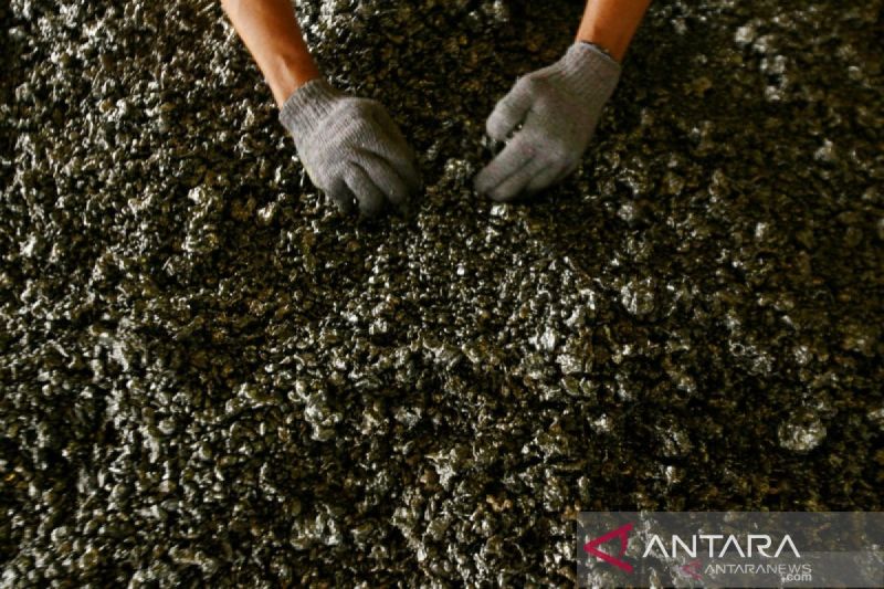 INDEF: Kepastian pasokan bijih nikel jadi kunci hilirisasi