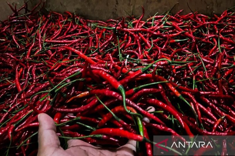 PIHPS rilis harga pangan hari ini: Bawang merah Rp40.000 per kg, cabai rawit Rp48.000 per kg
