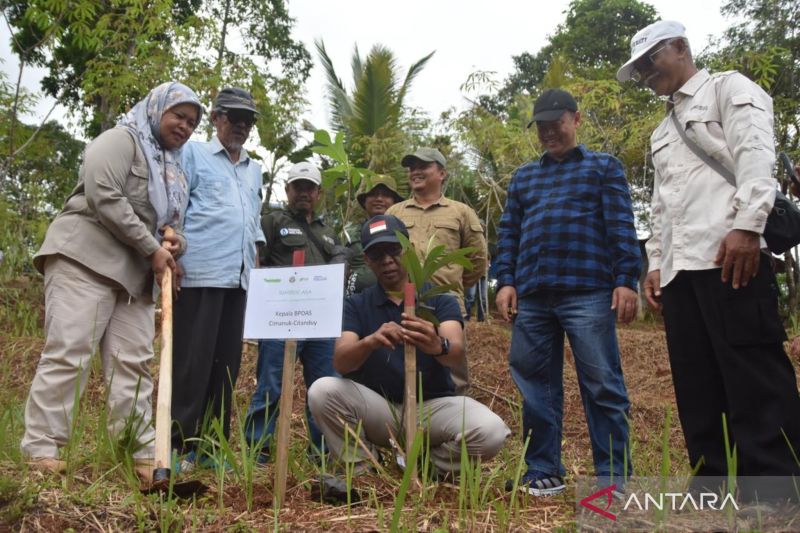 BPDAS libatkan elemen masyarakat tanam pohon untuk jaga DAS