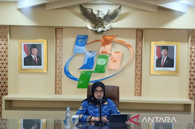 BPS memproyeksikan produksi dan luas panen jagung naik sepanjang 2025