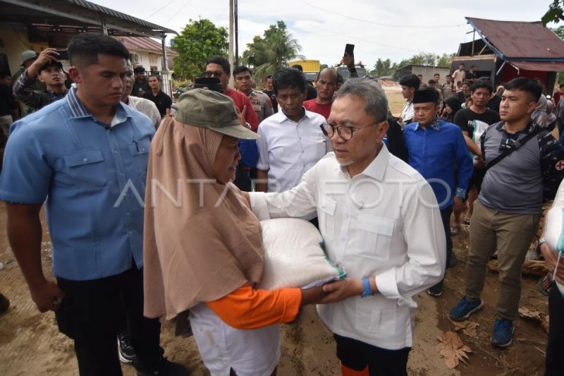 Menko pangan meninjau lokasi banjir bandang