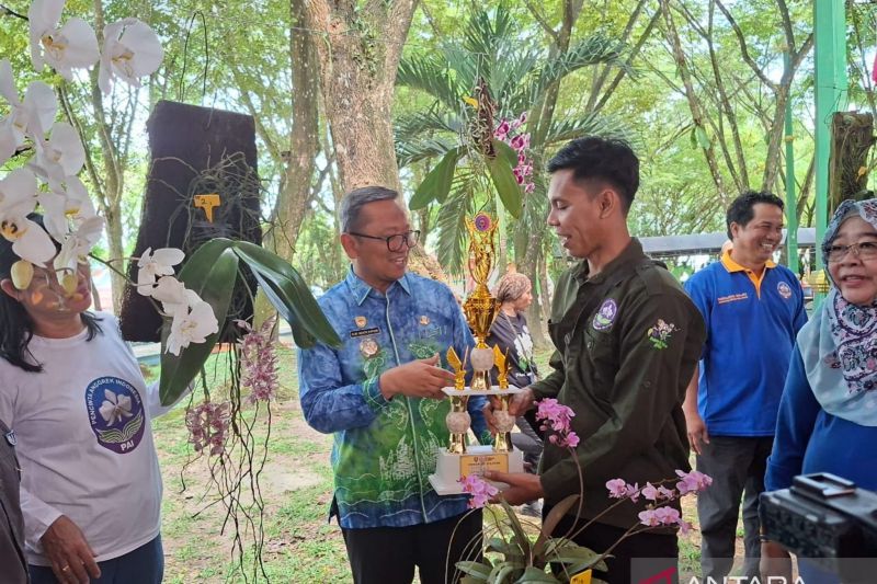 Anggrek endemik Kalimantan terbaik di Tabalong Orchid Festival 2025