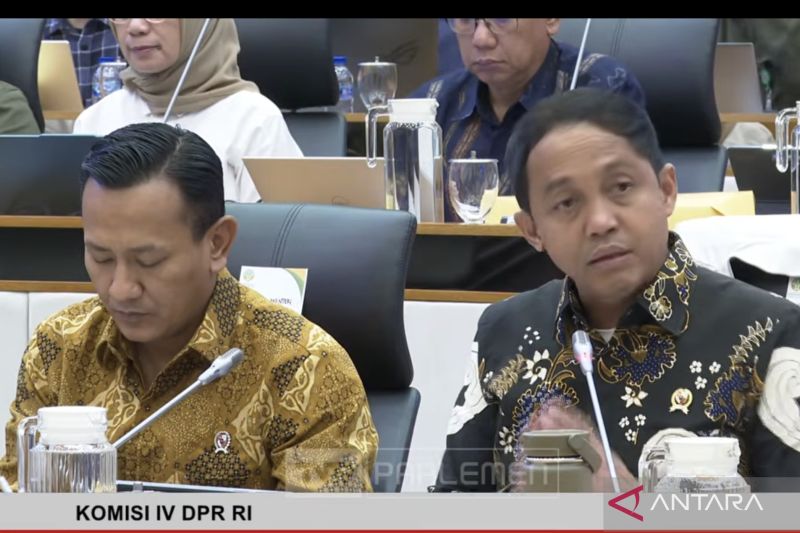 Kemenhut: 12 perusahaan terindikasi berkontribusi picu banjir Sumatera