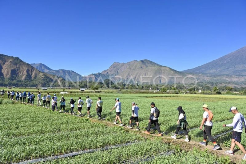 Rinjani Color Run III 2025 