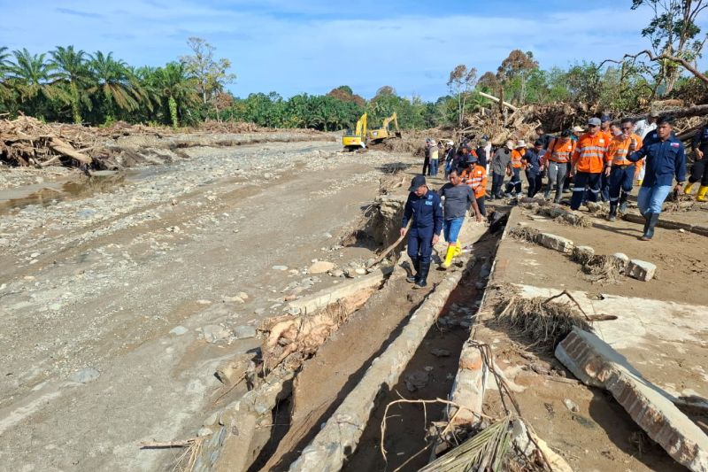 Menteri LH: Pemeriksaan awal kayu banjir kombinasi pohon tumbang