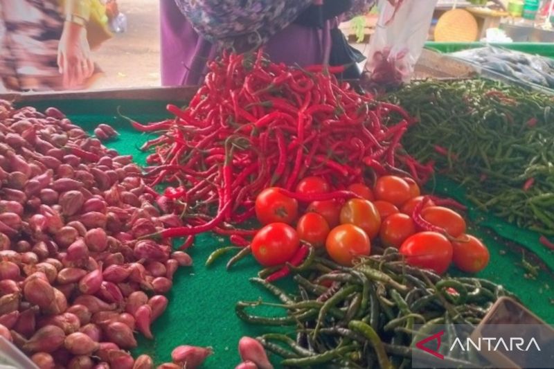 Pedagang sebut harga cabai merah di Metro melambung tinggi