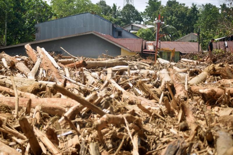 Tumpukan kayu gelondongan di permukiman