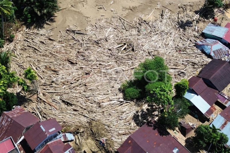 Tumpukan kayu gelondongan di permukiman