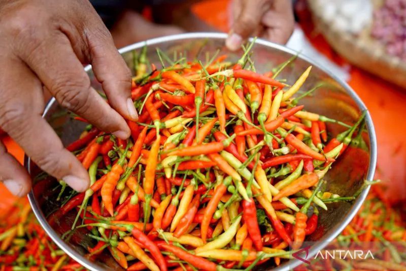 PIHPS rilis harga pangan hari ini: cabai rawit Rp80.800/kg, telur ayam Rp32.650/kg