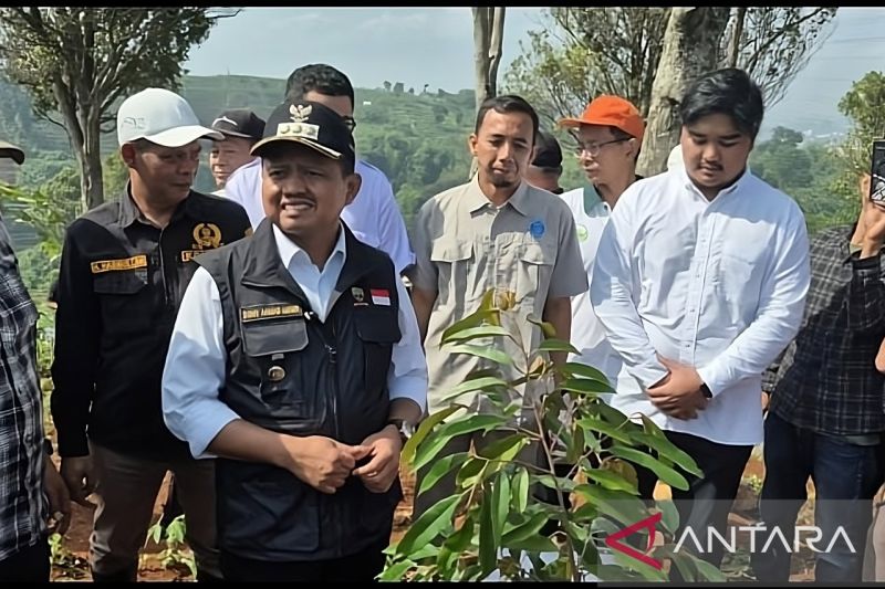 Pemkab Sumedang tanam 30 ribu pohon untuk kurangi risiko longsor