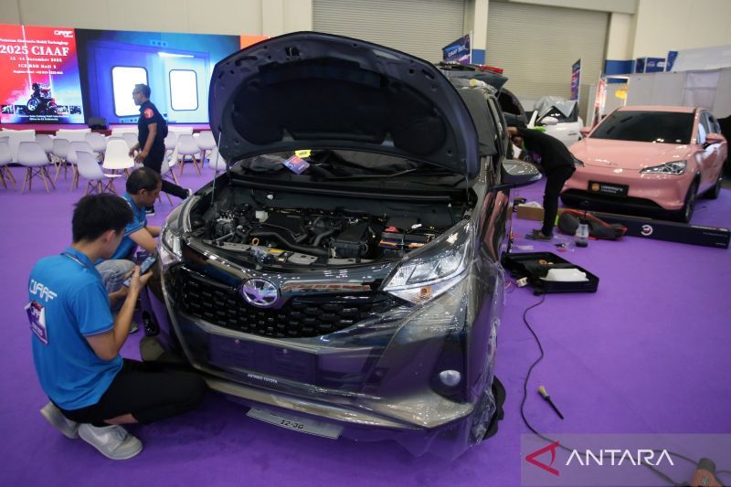 Cara membersihkan jamur pada cat mobil!