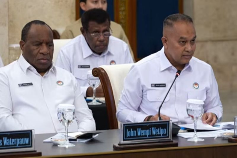 Ketua Komite sebut Papua bagian masa depan strategis Indonesia