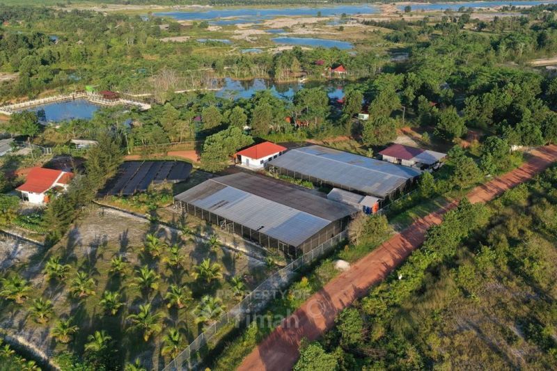 PT Timah terapkan pemulihan lingkungan berkelanjutan lingkar tambang