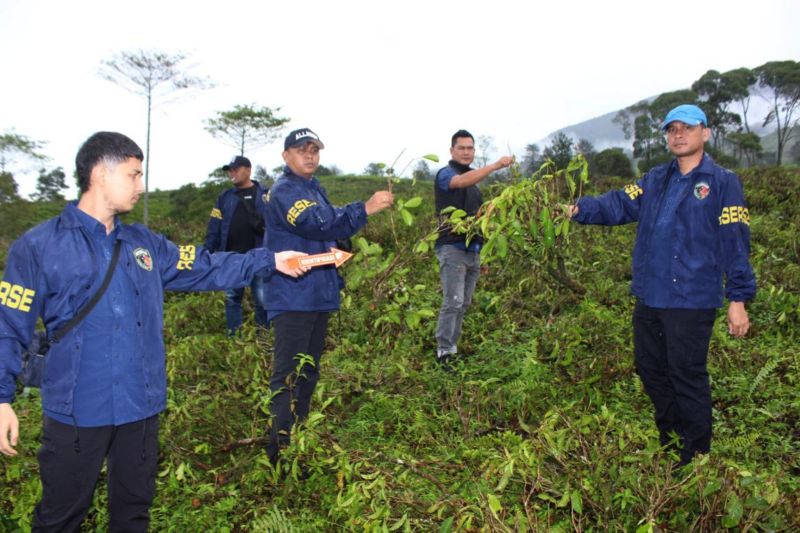 Polres Garut ringkus tiga perusak kebun teh di Cikajang