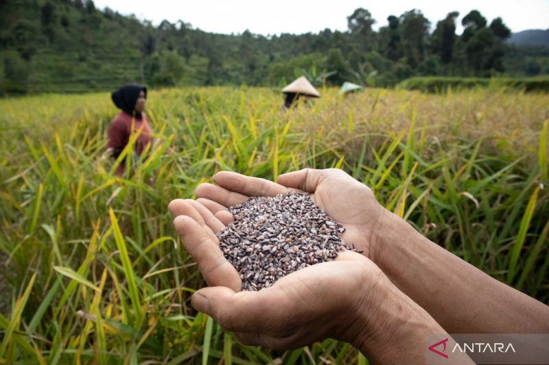 Spektrum - Menjaga produksi 