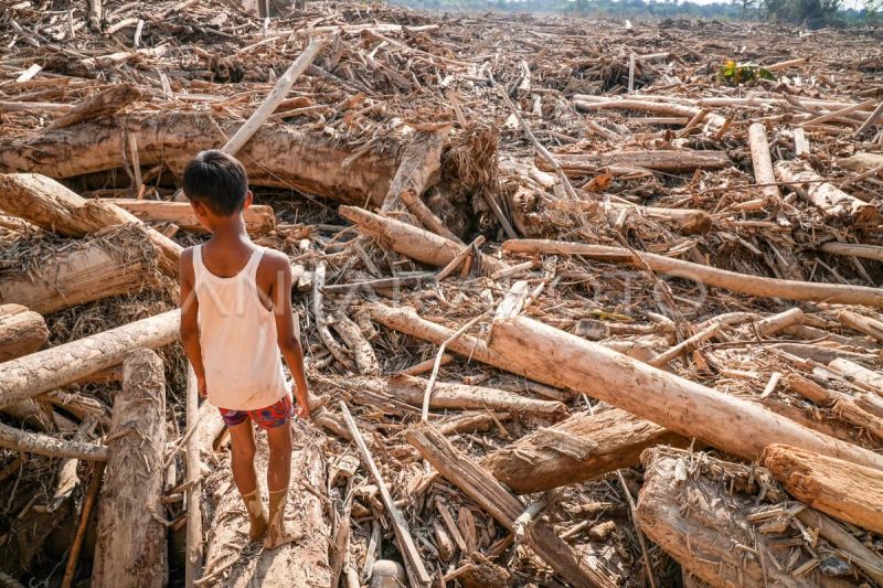 Indonesia clears, records floodwood for community use in Sumatra